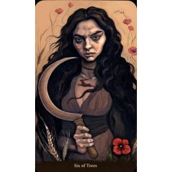 Tarot Witch Sister Tarot