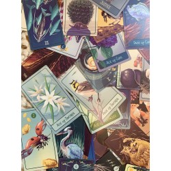 The Pacific Northwest Tar