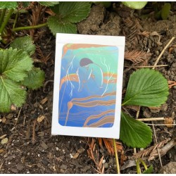 Tarot The Gentle Tarot De