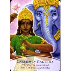 Oraculo Los Maestros Divi