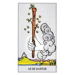 Tarot Rider - Espejo de la Vida - Mario Montano - (7º Ediccion) (Caja Dura) (Set) (2016) (AB) 0118