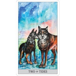 Tarot Set Japaridze Colec