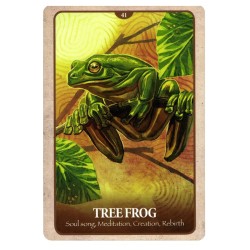 Tarot Secret Language of Animals (Set) (46 cartas) (En) (Usg) (Bla)