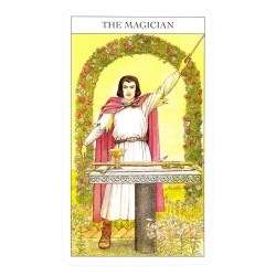 TAROT Beginner's Guide