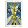 Tarot Mirror of the Soul - Gerd B. Ziegler and Aleister Crowley (Set) (EN) (AGM)