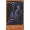 Tarot Raven's Prophecy (S