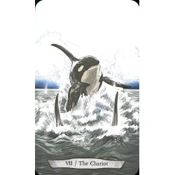 Tarot Animal Totem - Lee