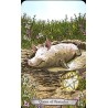 Tarot Animal Totem - Lee