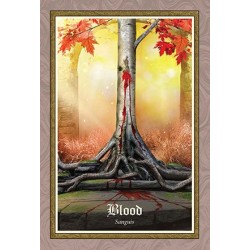 Tarot Gospel of Aradia (O