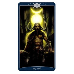 Tarot Book of Shadows (LI