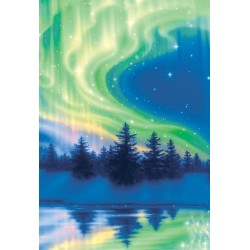 Oracle Of The Unicorns Co