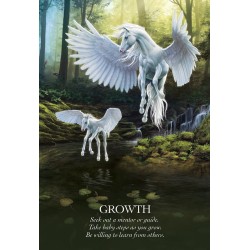 Oracle Of The Unicorns Co