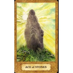 Tarot Chrysalis (99 Cartas)(Set) (EN) (USG)