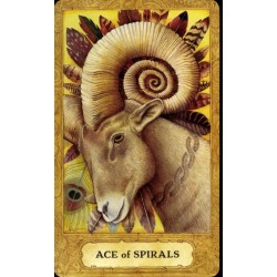 Tarot Chrysalis (99 Cartas)(Set) (EN) (USG)