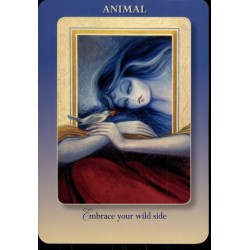 Oraculo Dream Oracle Cards (Set) (53 cartas) (En) (Usg) - Proximo Lanzamiento -