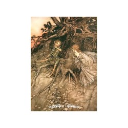 Oraculo Fairy Set) (Sca)