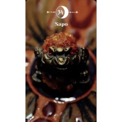 Oraculo Magia Lunar Set -