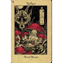 Oraculo The Magickal Bota