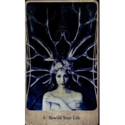 Oraculo Divine Nature - A