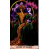Tarot Wanderer's - Pierlu