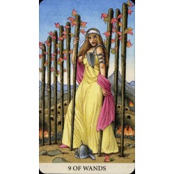 Tarot of the Longest Drea