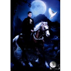 Oraculo De La Nuit Lenorm