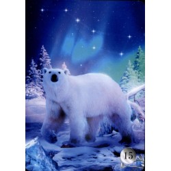 Oraculo De La Nuit Lenorm