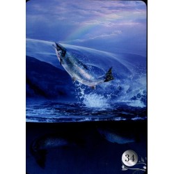 Oraculo De La Nuit Lenorm