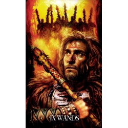 Tarot Set Voice And Visio