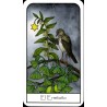 Tarot de los Espiritus de