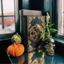 Libro The Big Visions