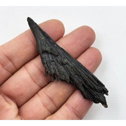 Cianita Negra (Escoba de Bruja)