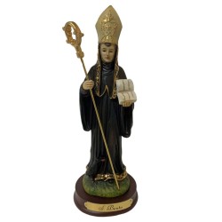 Imagen San Benito 30 cm (