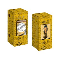 Imagen Busto Guacaipuro 12 cm - Resina