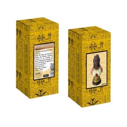 Imagen Busto Maria Lionza 12 cm - Resina