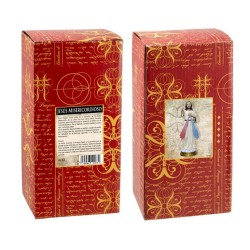 Jesus Misericordioso 30 cm - Resina