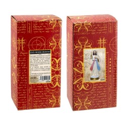 Jesus Misericordioso 13 cm - Resina