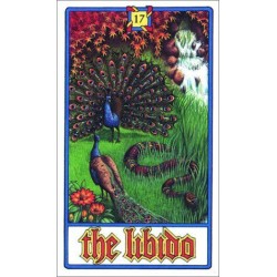 Psy Cards System (Deck & Set - Libro + 40 Cartas) | Tarot Junguiano para el Autoconocimiento