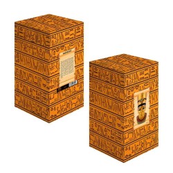 Imagen Busto Nefertiti 25