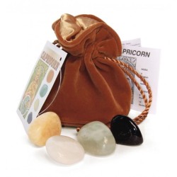 AMULETO Zodiacal Capricor