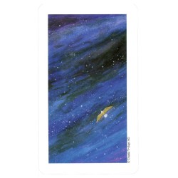 TA. Vision Quest (Inglé