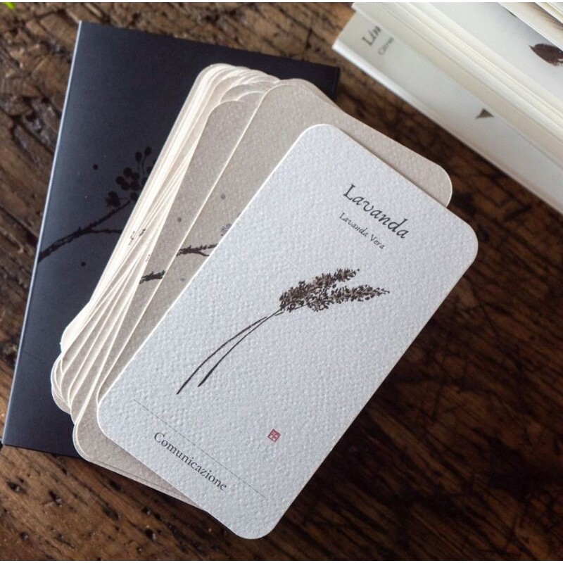 Oraculo Le Essenziali - Stefania Zani y Filippo Manassero -