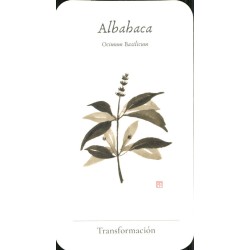 Oraculo Le Essenziali - Stefania Zani y Filippo Manassero -