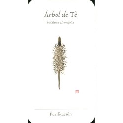 Oraculo Le Essenziali - Stefania Zani y Filippo Manassero -