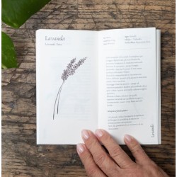 Oraculo Le Essenziali - Stefania Zani y Filippo Manassero -