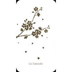 Oraculo Le Essenziali - Stefania Zani y Filippo Manassero -