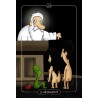 Tarot The Stoller Tarot-