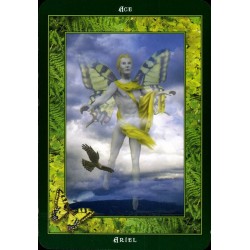 TAROT Fairy Ring (Set - L