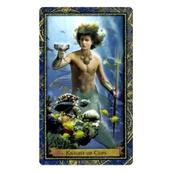 Tarot Wizards (En) (Llw)