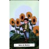 Tarot Tarot de Los Cuentos de Hadas Folklore y Plantas -